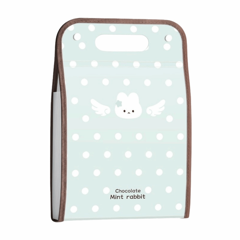 Expandable Accordion File Folder 13 Pockets - Cartella espandibile a punti Polka, 13